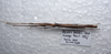 CollectionObject 1575939; 64e544d8-2d85-49e2-a126-a79c006d26d4: copyright F Seow-Choen. male, dorsal view (paratype). (CollectionObject).