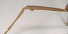 CollectionObject 1559400; NHMUK(SF IMPORT DUPLICATE) 844596, 26fc4080-bb42-41d7-a07c-faec81bdce35: copyright Natural History Museum, London. male, subapical femur spine of Lonchodes brevipes (holotype). (CollectionObject).
