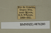 CollectionObject 1572941; 4c6ee8ec-4a42-47f6-aaba-54c83b93667e: Copyright Natural History Museum, London. Labels from non-type (female nymph) in BM(NH). (CollectionObject).