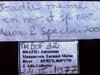 CollectionObject 1527814; bc4dfacf-865f-4a6e-bc4e-a8e0dd23f194: labels (holotype). (CollectionObject).