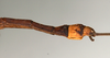 CollectionObject 1560709; 71a31e01-2952-4073-b56a-793134ecc899: copyright MIZ, Warsaw. male: end of abdomen, lateral view (holotype). (CollectionObject).
