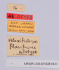 CollectionObject 1594406; 20be48cb-1521-48a0-abe4-42852b7b461c: labels (allotype). (CollectionObject).
