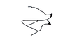 Machaeropoles rostratus rostratus Rehn, 1909: Fig. 42. ovipositor, lateral view. (Otu).