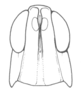 Silvitettix ricei Otte & Jago, 1979: Fig. 51F. male head, frontal view. (Otu).