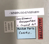 CollectionObject 1588003; 14f6a031-5ac4-4d3d-9868-14aa537bb7b6, MNHN-EO-ENSIF6899: labels (allotype). (CollectionObject).