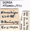 CollectionObject 1507213; 53d731d5-5e9c-4ffc-b770-715e5e9ef756: labels. (CollectionObject).