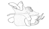 Hydnosternacris valdiviensis Amédégnato & Descamps, 1978: Fig. 69. phallic complex, lateral view. (Otu).