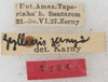 CollectionObject 1531189; 9dc3a644-bff8-4e2c-8ce5-2abb23df0406: labels (holotype). (CollectionObject).