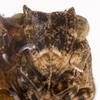 Head: (Observation).