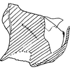 Pygofer, lateral view on Empoascanara (Empoascanara) producta Dworakowska, 1992: Pygofer, lateral view. (Observation).