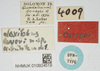 labels (syntype). Depicts CollectionObject 1583762; e8297a63-68a5-42cc-8243-6eb05bd49f15, NHMUK010924519, a CollectionObject.