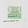 CollectionObject 1588746; 83465862-196e-494d-9e22-23db97c6219f: labels. (CollectionObject).