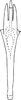 Aedeagus, ventral view on Distantasca latava (Dworakowska, 1981): Aedeagus, ventral view. (Observation).