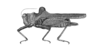 Bara turgida Rehn, 1930: Plate 20, Fig. 4 (after type). female habitus (body length 12.9 mm, pronotum 13.1 mm, hind femur 7.14 mm). (Otu).
