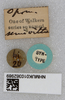 CollectionObject 1578999; 1dfc6c53-de09-4761-90a1-28a73f7ad0a5: labels (syntype?). (CollectionObject).