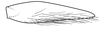 Subgenital plate, ventral view on Pseudocostanana rubromarginata (Domahovski & Cavichioli, 2023): Male holotype [DZUP]: subgenital plate, ventral view. (Observation).