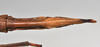 CollectionObject 1558569; 53e1fdbb-9161-455d-bcb1-b772a9e51aaa: copyright NTUC. female: end of abdomen, ventral view (syntype). (CollectionObject).;CollectionObject 1558570; bfcc2c1d-711c-4901-beb1-4a62427f0abc: copyright NTUC. female: end of abdomen, ventral view (syntype). (CollectionObject).