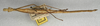 CollectionObject 1558011; NMW 395, eaf633e4-1b73-4567-8e2c-c309edb54d8b: copyright NMW, Vienna. male, dorsal view (holotype). (CollectionObject).