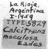 CollectionObject 1523803; eb20feeb-1ab8-4809-a19b-4f172654a1b7: labels (holotype). (CollectionObject).