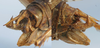 CollectionObject 1517261; dd9501f5-0070-4ee2-8f8c-f0bdda5e1a52: male abdomen tip (holotype). (CollectionObject).