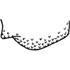 Pygofer appendages on Dicraneurula exigua (Vilbaste, 1968): Pygofer appendages (D. silvicola Vilbaste, 1968). (Observation).