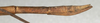CollectionObject 1561808; NMW 376', 96ff770c-590f-4a06-a637-f77f3ba4b01f: copyright NMW, Vienna. female: end of abdomen, lateral view (holotype). (CollectionObject).
