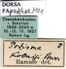 CollectionObject 1578447; 09c2f590-435e-4953-886f-4dc277612e60: labels. (CollectionObject).