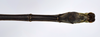CollectionObject 1590030; e379d0f6-820e-45d2-80c6-29258decc65f: copyright MNHN, Paris. male: end of abdomen, dorsal view (paratype). (CollectionObject).