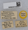 CollectionObject 1578679; 015279d1-27a0-4e39-994d-ed3772fd7817: labels (paratype of Thisoicetrus littoralis asiaticus). (CollectionObject).