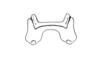 Tropidostethus angusticollis (Blanchard, 1851): Fig. 169. epiphallus, dorsal view. (Otu).