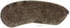 Cixidia (Epiptera) mersinica (Dlabola, 1987): (Otu).