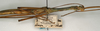 CollectionObject 1559673; NMW 1006, 6feef2a5-5973-4143-a45c-8ba0f6c00263: copyright NMW, Vienna. male: head and thorax, lateral view (holotype). (CollectionObject).