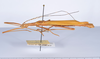 CollectionObject 1563195; 507345c9-c425-4b80-bfd7-34bfbfda8a42: copyright ANSP. male, lateral view (paratype). (CollectionObject).