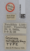 CollectionObject 1520331; 58a5452e-dc25-4a83-a006-a7dcd63560ba: labels (holotype). (CollectionObject).