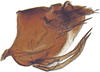 Pygofer, lateral view: Bahita infuscata, pygofer, laterally (NMNH). (Observation).