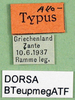 labels (allotype). Depicts CollectionObject 1501861; 1795ccc9-968d-4bb0-a20d-58da90f3842d, a CollectionObject.