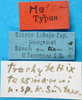 CollectionObject 1500258; 839d7aaf-9e63-4253-a9ff-fe789560c21c: labels (holotype). (CollectionObject).