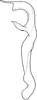 Aedeagus, lateral view on Recilia coronifer (Marshall, 1866): Aedeagus, lateral view. (Observation).