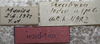 CollectionObject 1505916; 3beb9706-8dcf-40dd-b1c2-761287c1cc04: labels (holotype). (CollectionObject).