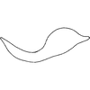 Pygofer appendages: Pygofer ventral appendage. (Observation).