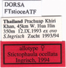CollectionObject 1505466; ced82651-8c6e-465c-9d43-e291ac7147b7: labels (allotype). (CollectionObject).