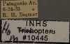 Other: !! display not done !! on Ciminius sidanus (Ball, 1936): Labels. (Observation).