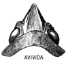 Head: (Observation).
