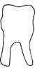 Connective on Capoideus cuprescens (Naudé, 1926): Connective. (Observation).