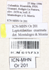 CollectionObject 1544456; 4190af9e-5e65-4905-b597-0a3d5863466e: labels (paratype). (CollectionObject).
