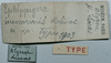 CollectionObject 1539823; e7e2bc23-dfda-4232-85b9-6b481b077109: labels (holotype). (CollectionObject).