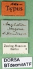 CollectionObject 1564684; 2c0e063b-7355-459d-b123-acd5523a268f: labels (allotype). (CollectionObject).