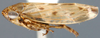 Habitus, lateral view: Hardya turanica, lateral habitus (INHS). (Observation).
