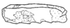 Callimenellus variegatus Gorochov & Voltshenkova, 2005: Fig. 46. mif femur (probably female). (Otu).