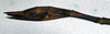 CollectionObject 1558604; 926895c9-7be4-4c68-b2ac-c48c74edc28f: copyright NMW, Vienna. female: end of abdomen, lateral view (syntype). (CollectionObject).;CollectionObject 1558605; 8e8ce501-1cd2-4740-90e6-61494de6d88f: copyright NMW, Vienna. female: end of abdomen, lateral view (syntype). (CollectionObject).